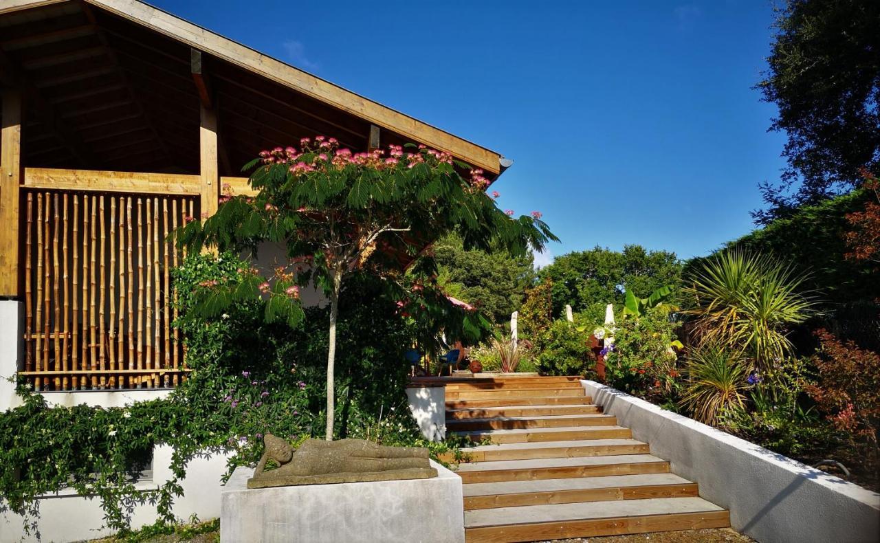 La Villa Hossegor 索尔特奥瑟戈尔 外观 照片